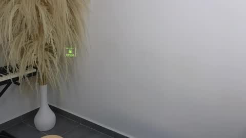 Send me DM  Offline online show from April 23, 5:15 pm