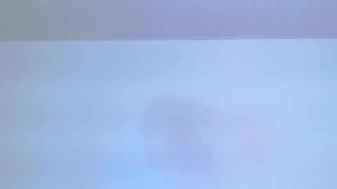     online show from February 7, 8:59 pm