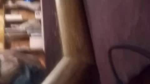 arexabragdoll66 online show from April 28, 8:41 am