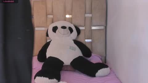 B L A C K  R O S E  online show from February 20, 11:34 am