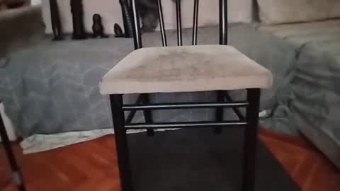 Snapshot of boy7oyy chatting on January 31, 8:22 pm Bes7assquirt online show from January 31, 8:22 pm