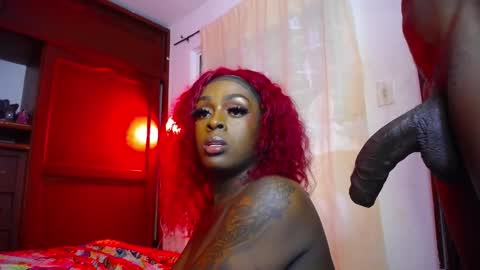 butterfly_rouse online show from November 20, 10:48 am