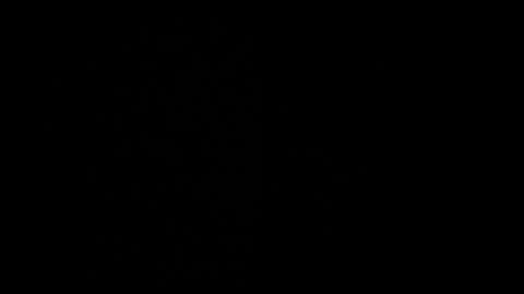 Snapshot of cata_n_cami chatting on December 21, 10:08 pm cata_n_cami online show from December 21, 10:08 pm