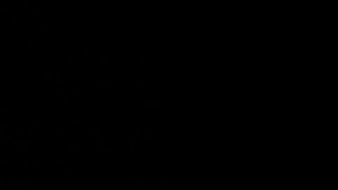 Snapshot of cata_n_cami chatting on February 3, 6:02 am cata_n_cami online show from February 3, 6:02 am