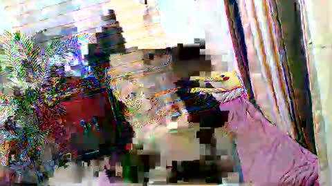 KIM online show from December 4, 2:48 am