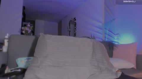 Dan online show from February 20, 7:12 am