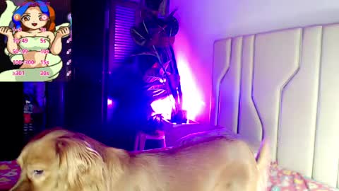 dick22cmx_ online show from May 6, 9:54 pm