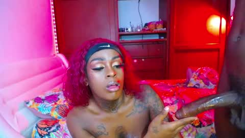 paradise online show from March 18, 8:41 pm