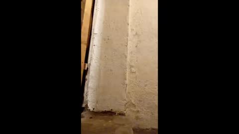 dirtytravbitch online show from May 6, 2:18 am