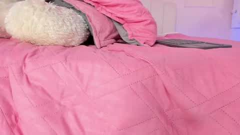 doll_isa_ online show from April 29, 2:38 am