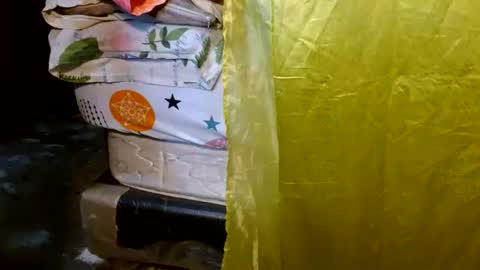 dreamreal online show from July 25, 10:46 am