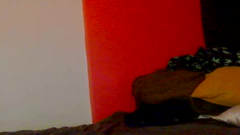 Nikki Erotica online show from February 20, 10:17 am