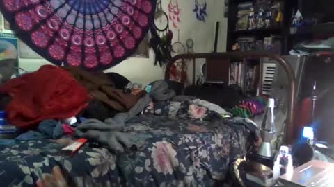 Gardenia online show from December 17, 4:51 am