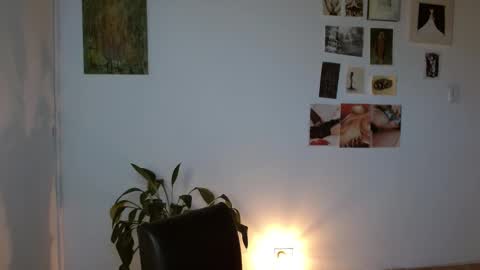 Alaska online show from February 1, 12:15 pm