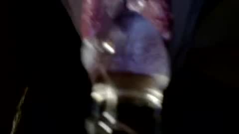 Heather Lovelace online show from March 18, 11:59 pm