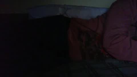 Bitch for abuse online show from May 10, 8:36 pm