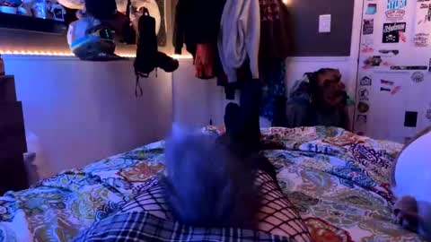 Snapshot of jrod11229 chatting on October 27, 2:19 am Femmy online show from October 27, 2:19 am