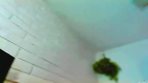 Kelsi  online show from November 11, 3:41 am