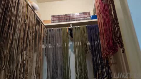 Linzy19 online show from February 7, 3:02 am