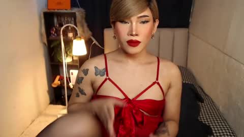STWEET LINA online show from August 3, 6:25 pm