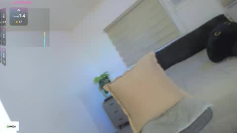 MAIA online show from December 5, 4:46 pm