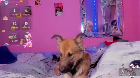 Luisa  online show from March 2, 6:16 am