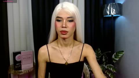 Stella online show from September 26, 8:55 am