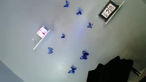 jasmine online show from November 28, 2:07 pm