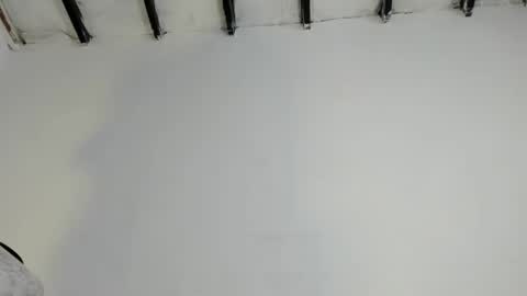 Snapshot of nico_hoot chatting on September 23, 2:39 am sammy hoot online show from September 23, 2:39 am