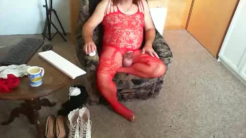 Strumpfhose online show from October 19, 1:58 pm