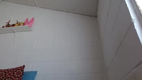 Jeannifer online show from February 27, 1:50 pm