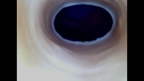 Paula 18 Aninhos online show from April 24, 9:51 pm
