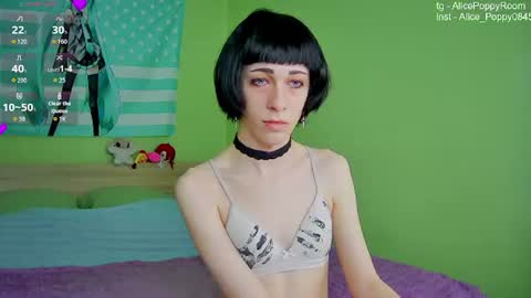 poppyfluffy online show from June 16, 2:30 pm