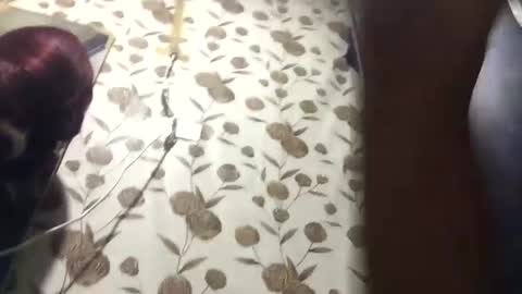 Princess online show from February 8, 5:18 am