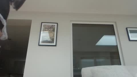 Sexy Sophie online show from September 15, 2:00 pm