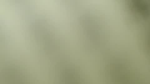 Lexie online show from May 26, 1:41 pm