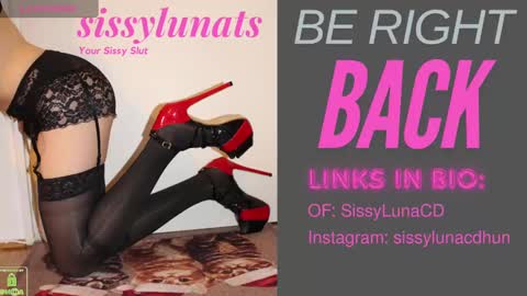 SissyLunaTS online show from December 31, 8:04 am