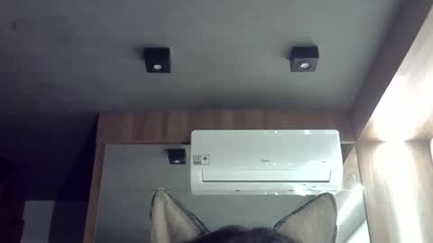 Snapshot of skinnykittencam chatting on October 21, 12:14 am skinnykittencam online show from October 21, 12:14 am