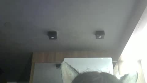 skinnykittencam online show from May 8, 3:30 pm