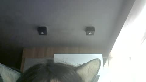 skinnykittencam online show from July 1, 2:17 pm