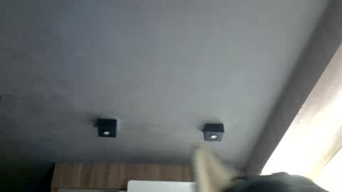 skinnykittencam online show from July 8, 9:24 am