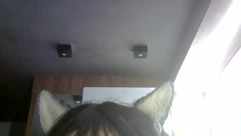 skinnykittencam online show from July 18, 1:12 am