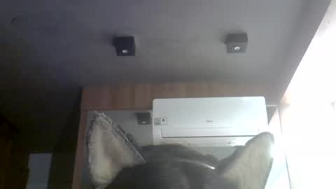 skinnykittencam online show from August 1, 10:38 am