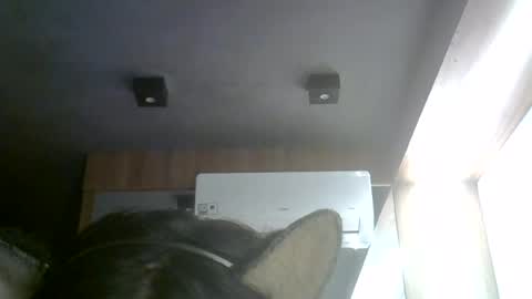 skinnykittencam online show from August 2, 3:55 pm