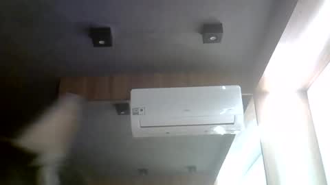 skinnykittencam online show from August 5, 8:37 pm