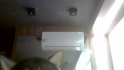 skinnykittencam online show from August 6, 11:01 pm