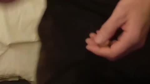 Snapshot of theelakaman chatting on October 31, 3:05 am theelakaman online show from October 31, 3:05 am