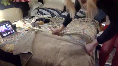 Tinka Kinkabell online show from September 30, 9:48 pm