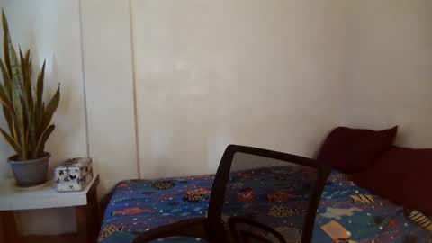 trisha online show from January 19, 2:47 am