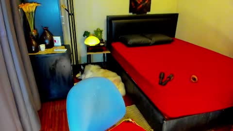Kylee-  will make your  day  online show from May 13, 6:11 am